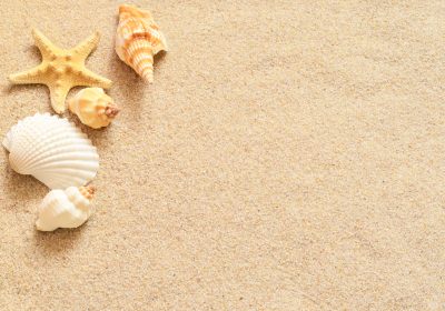 Fermeture annuelle été 2021